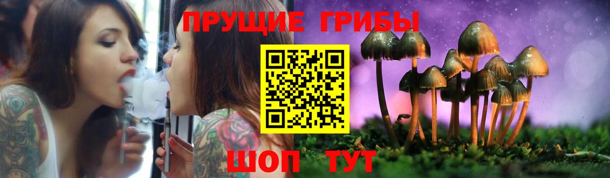 где продают   Вход с VPN  Дзержинский  Псилоцибиновые грибы мицелий 